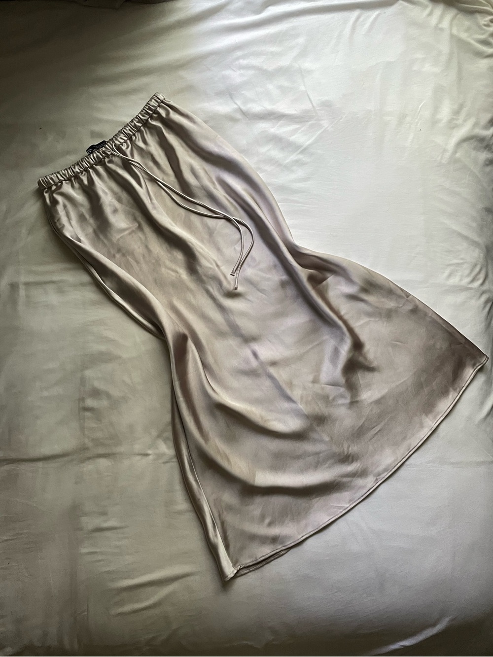 Zara Silver Champagne Maxi Skirt